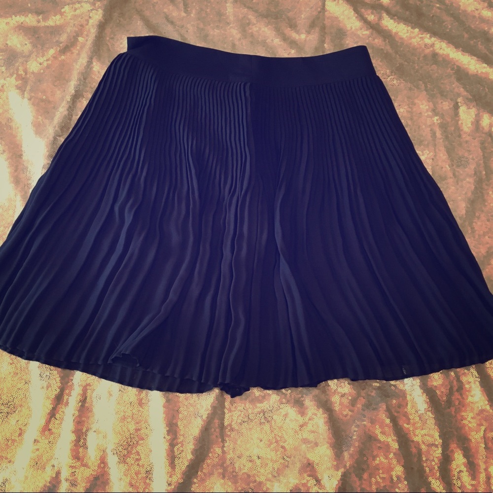Pleated Ann Taylor Skirt